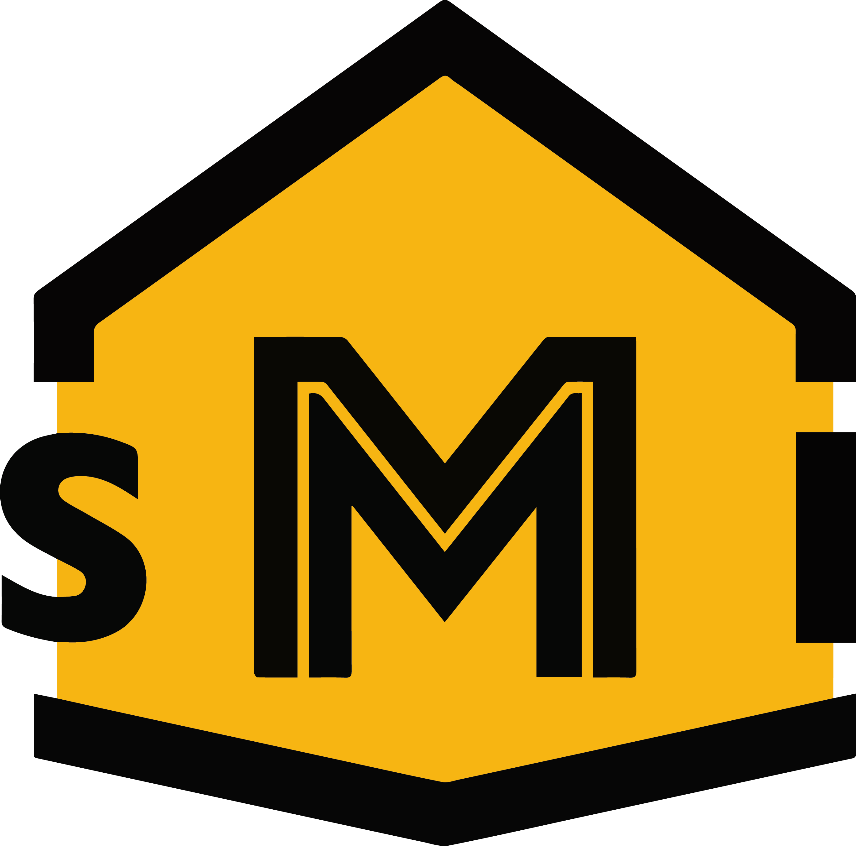 logo officiel fond transparent 1 SMI